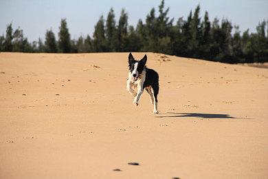 轻松掌握百度导航，出行无忧流量省